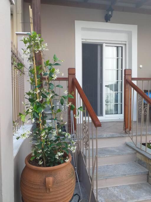 Aggeliki'S Place Detached Home With Yard/Parking ヴォロス エクステリア 写真